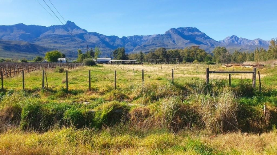 0 Bedroom Property for Sale in Ladismith Rural Western Cape